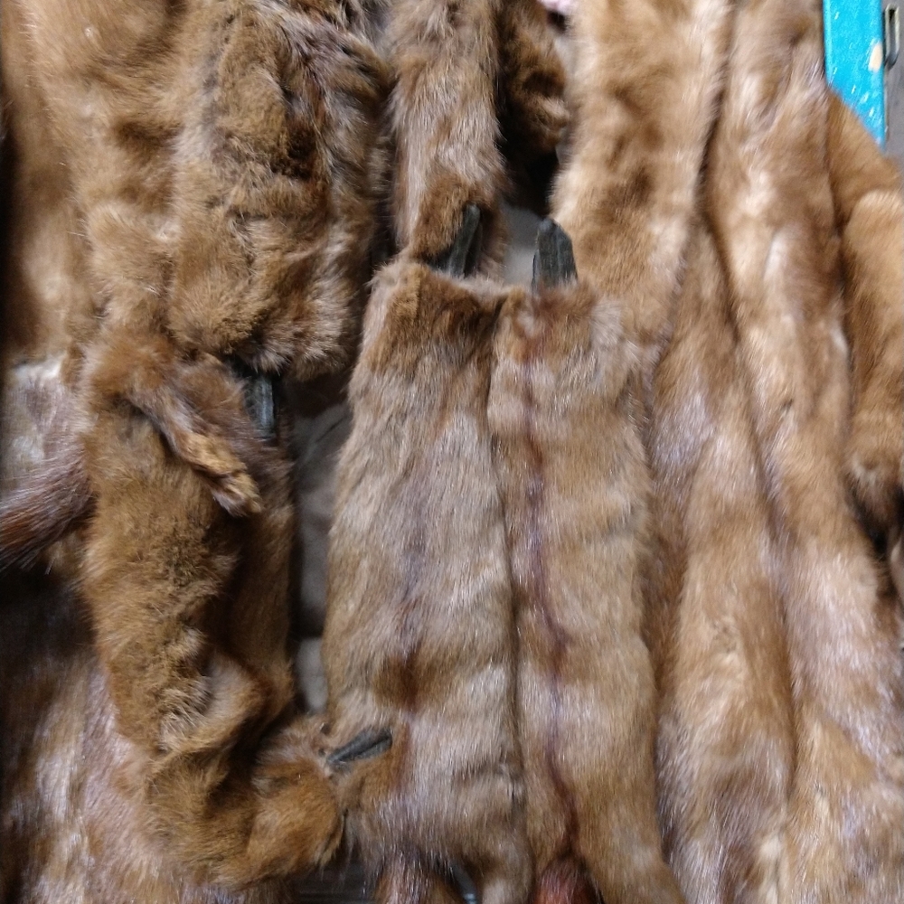 Mink stole